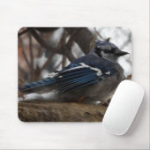 Blue Jay Muismat (Met muis)