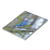 Blue Jay Notitieblok (Gedraaid)
