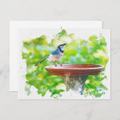 Blue Jay op de waterverf van het vogelbad Briefkaart (Voorkant / Achterkant)