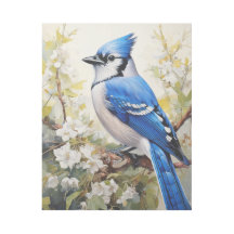 Blue Jay op een tak met bloesems