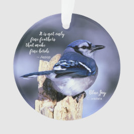 Blue Jay op Post Foto met Quote Birds Nest w/Eggs Ornament