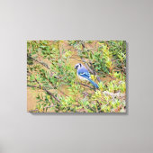 Blue Jay op Southern Wax Myrtle Canvas Afdruk (Voorkant)