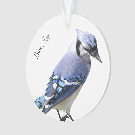 Blue Jay Ornament (voorkant)