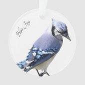 Blue Jay Ornament (voorkant)