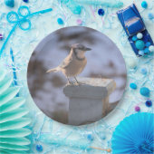 Blue Jay Papieren Bordje (Feest)