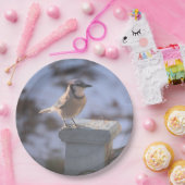 Blue Jay Papieren Bordje (Feest)