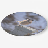 Blue Jay Papieren Bordje (Gekanteld)