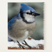 Blue Jay Planner (Achterkant)