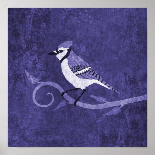 Blue Jay Poster