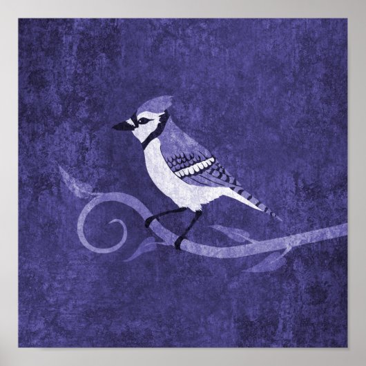 Blue Jay Poster (Voorkant)