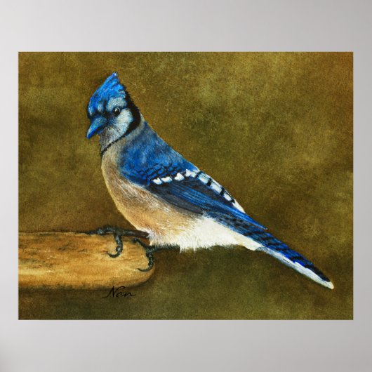 Blue Jay Print (Voorkant)
