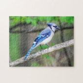 Blue Jay Puzzle Legpuzzel (Horizontaal)