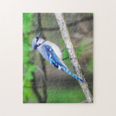 Blue Jay Puzzle Legpuzzel (Verticaal)