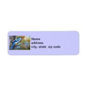 Blue Jay Return-adreslabels Etiket (Voorkant)