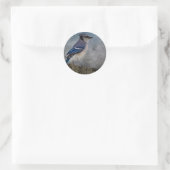 Blue Jay Ronde Sticker (Tas)