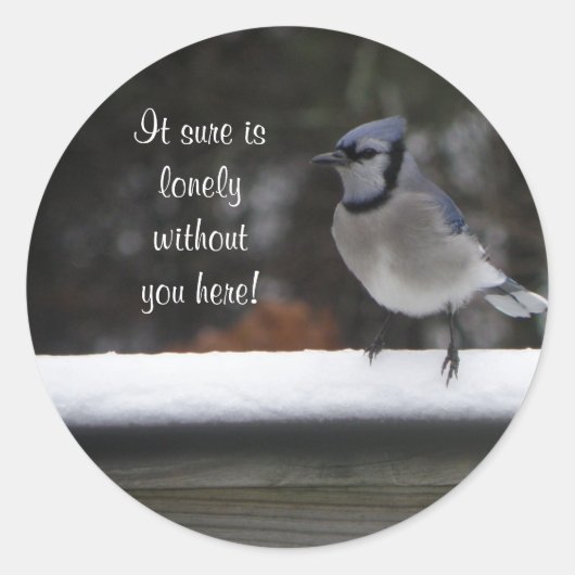 Blue Jay : Sans vous ici Stickers (Devant)