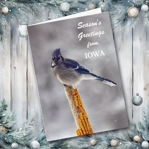 Blue Jay Season's Groeten uit Iowa Feestdagen Kaart