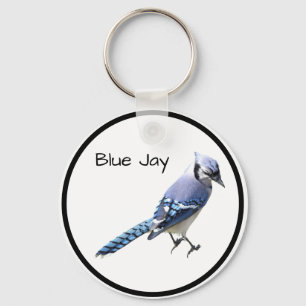 Blue Jay Sleutelhanger