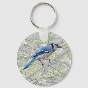 Blue Jay Songbird Sleutelhanger