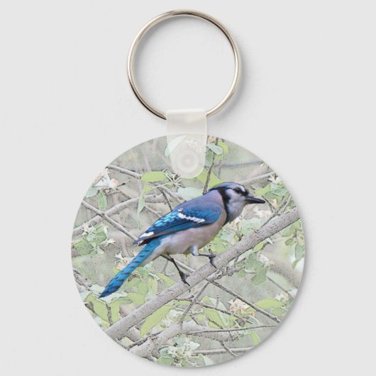 Blue Jay Songbird Sleutelhanger (Voorkant)