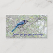 Blue Jay Songbird Visitekaartje (Achterkant)
