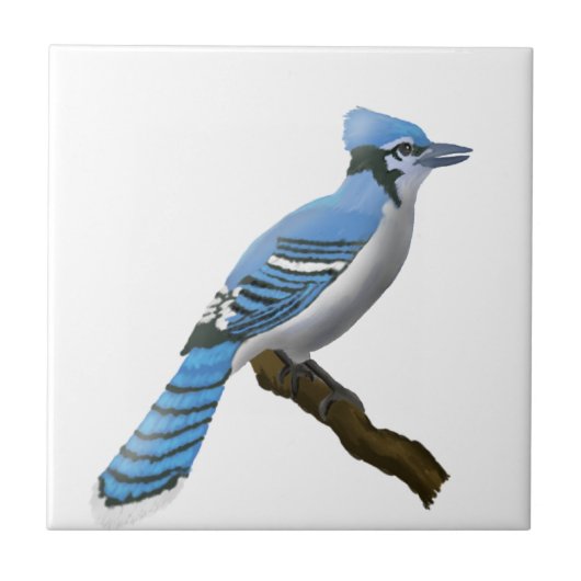 Blue Jay Tegeltje (Voorkant)