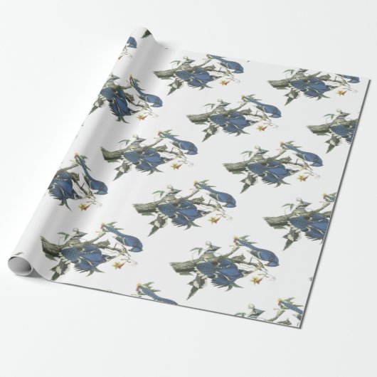 Blue Jay van Audubon Cadeaupapier (Uitgerold)