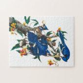 Blue Jay van John James Audubon Legpuzzel (Horizontaal)
