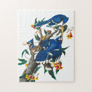 Blue Jay van John James Audubon Legpuzzel