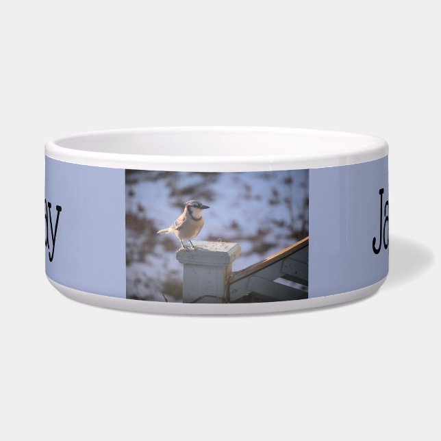 Blue Jay Voerbakje (Voorkant)