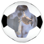 Blue Jay Voetbal (Gedraaid)