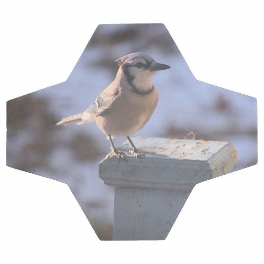 Blue Jay Voetbal (Enkel)