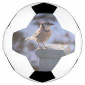 Blue Jay Voetbal (Voorkant)