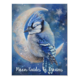 Blue Jay vogel baby slapen op Moon Foto Afdruk