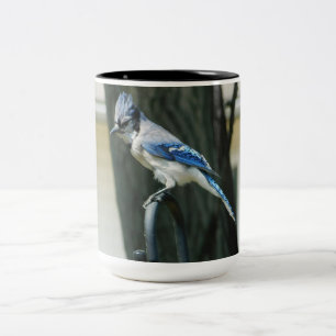 Blue Jay Vogelfotografie 15oz Koffie Mok