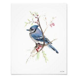Blue Jay Waterverf Foto afdrukken Afdruk