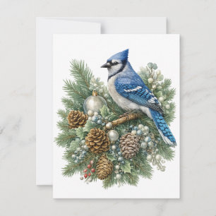 Blue Jay Winter Songbirds Collectie Notitiekaartje