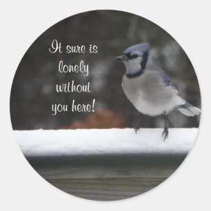 Blue Jay: Zonder jou hier Stickers