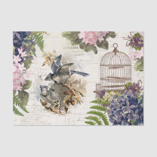 Blue Jays  Birdcage Floral Tissuepapier (Voorkant)
