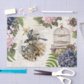 Blue Jays  Birdcage Floral Tissuepapier (Craft)