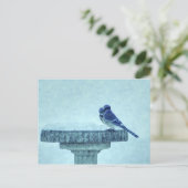 Blue Jays Winter Feeding Painterly Briefkaart (Staand voorkant)