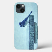 Blue Jays Winter Nourriture coque iphone (Verso)