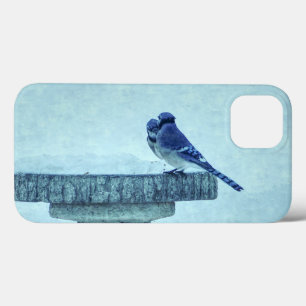 Blue Jays Winter Nourriture coque iphone