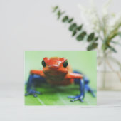 Blue Jean Frog Briefkaart (Staand voorkant)