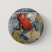 Blue Jeans Frog Button (Voorkant)