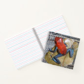 Blue Jeans Frog Square Notitieboek (Binnen)