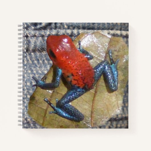 Blue Jeans Frog Square Notitieboek (Voorkant)