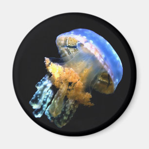 Blue Jellyfish Magneet