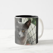 Blue kitty mug tweekleurige koffiemok (Voorkant rechts)