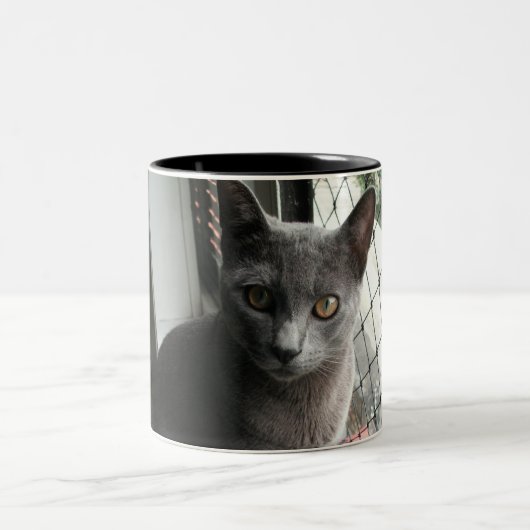 Blue kitty mug tweekleurige koffiemok (Center)